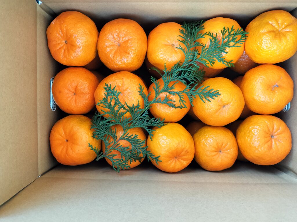 おいしい農園四季彩園 | ポンカンとポンカンジュースの産直・ネット